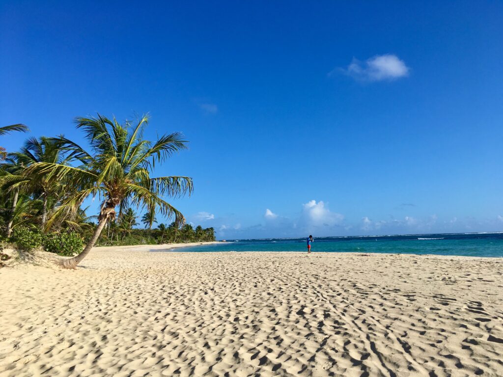 Flamenco Beach in Culebra, Puerto Rico, with white sand, palm trees and turquoise Caribbean water