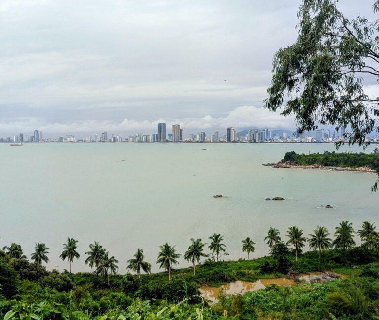 Panoramic view of Da Nang, Vietnam, showing the coastline, palm trees, and the city's modern skyline along the South China Sea.
