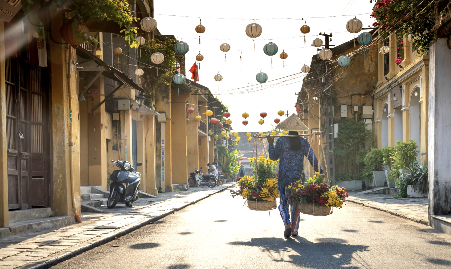 Vietnam country guides