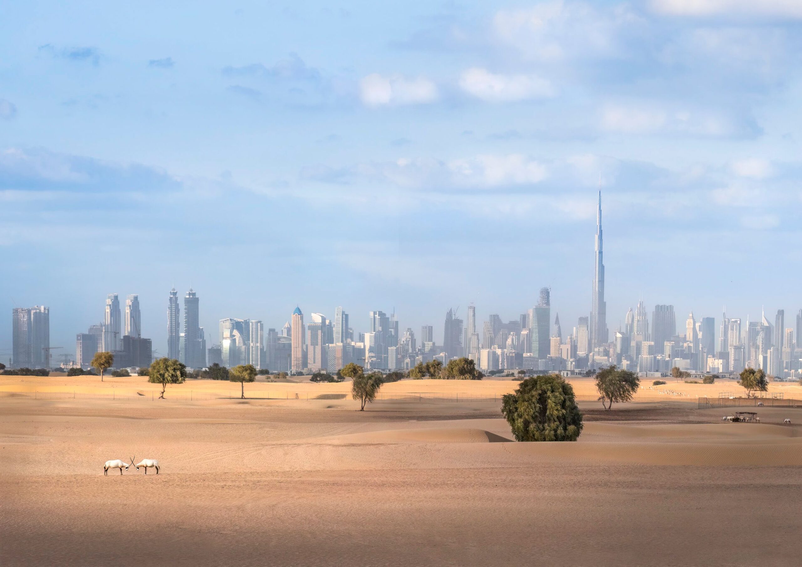 United Arab Emirates country guides