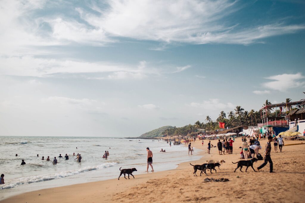 Beach in Goa, India, with tourists enjoying the coastline during the daytime.
