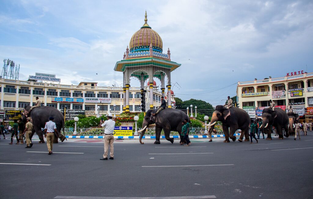 Decorated elephants near Chamarajendra Circle in Mysuru, Karnataka, India.