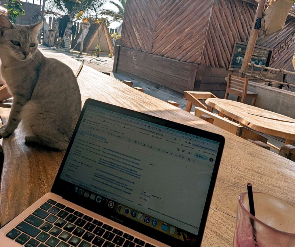 Turkish cat sitting beside my laptop while I work at a café in Turkey