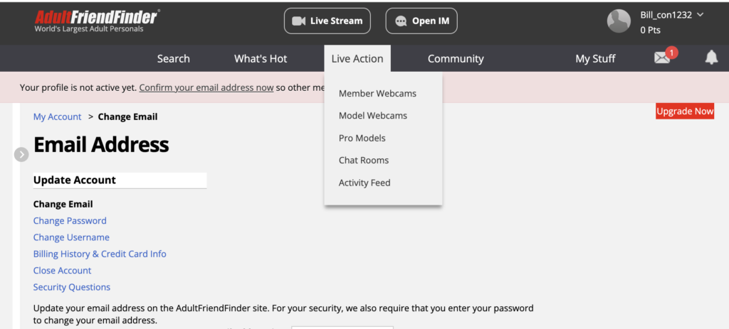 Adult FriendFinder review screenshot showing Live Action features, webcams, chat rooms and activity feed