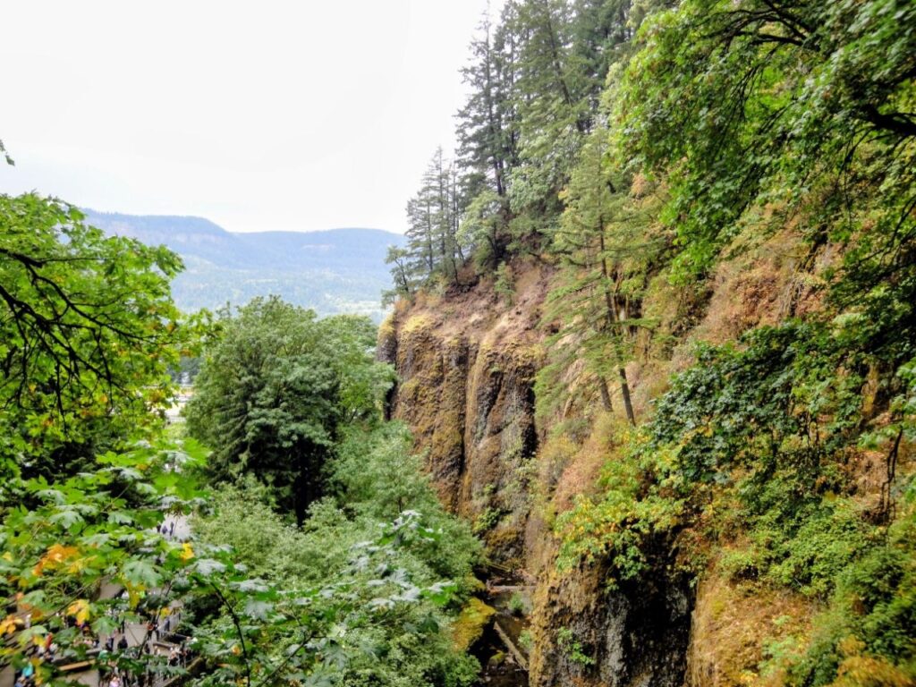 Forested cliffs along the Multnomah Falls hiking trail in Oregon